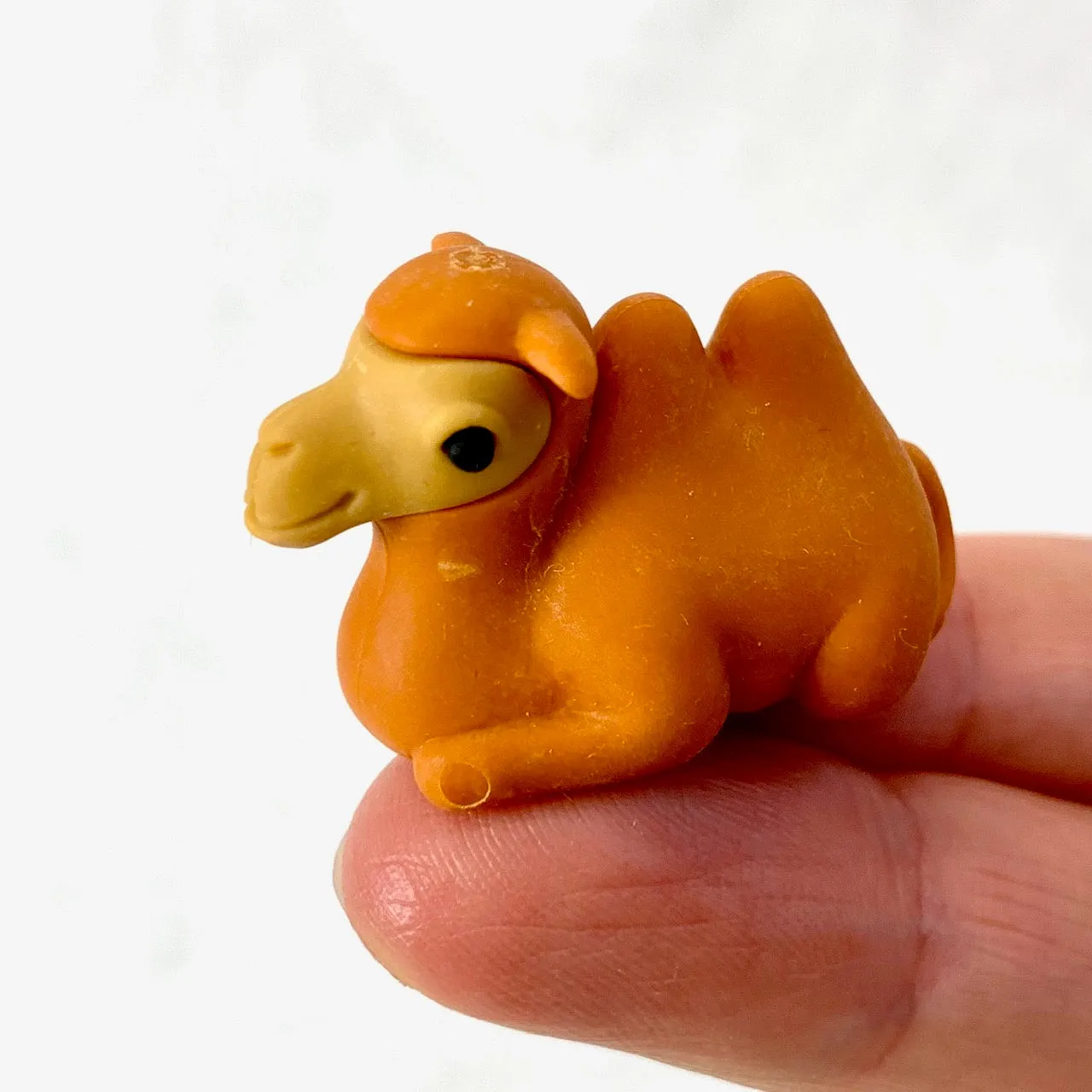 382371 IWAKO SAFARI ANIMAL ERASER-30