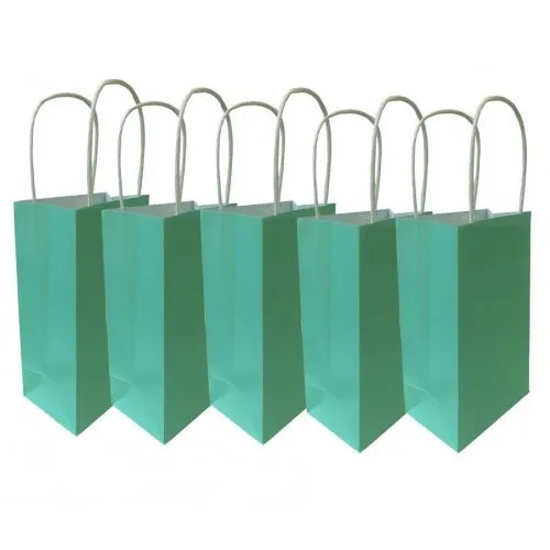 5pk Pastel Mint Paper Party Gift Bags