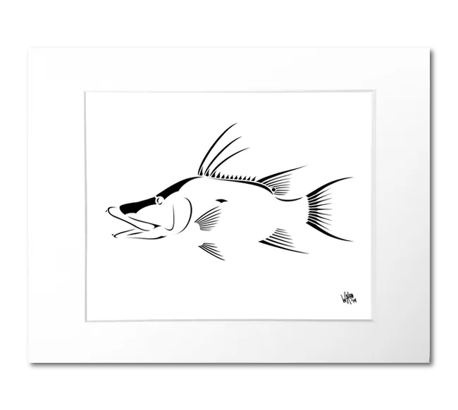 Hogfish Art Print