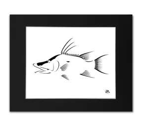 Hogfish Art Print