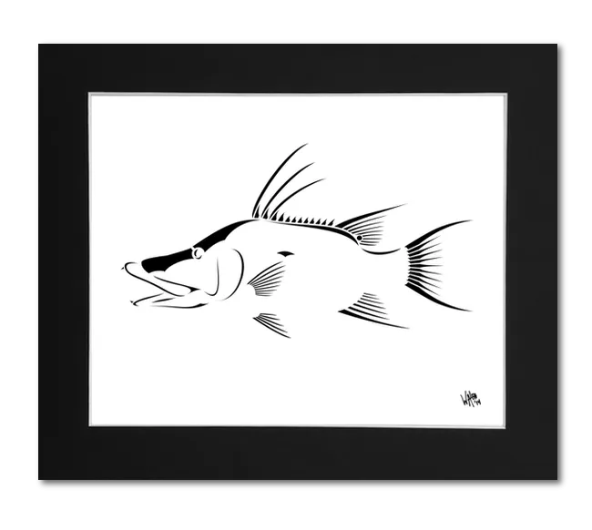 Hogfish Art Print