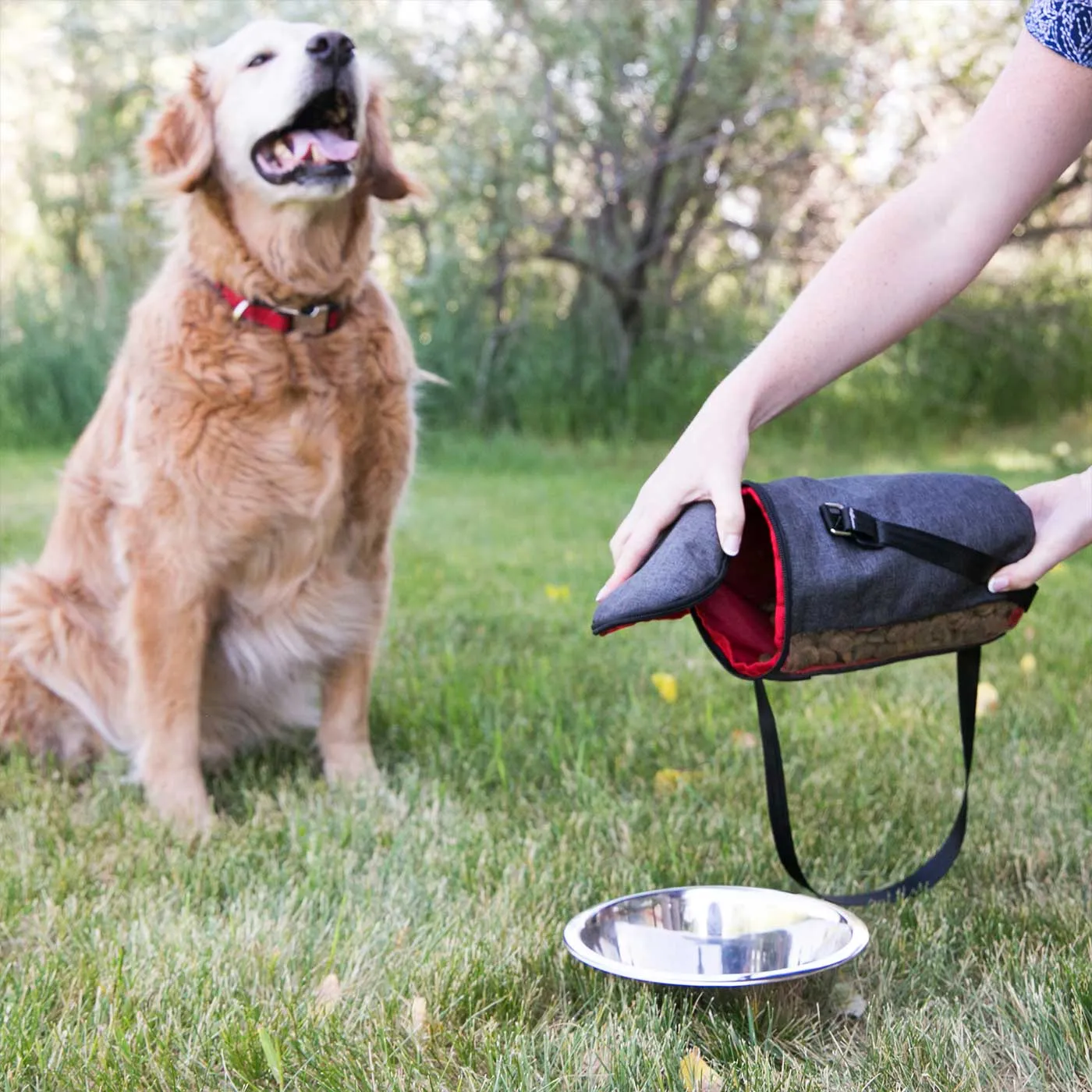 KONG Kibble Storage Bag