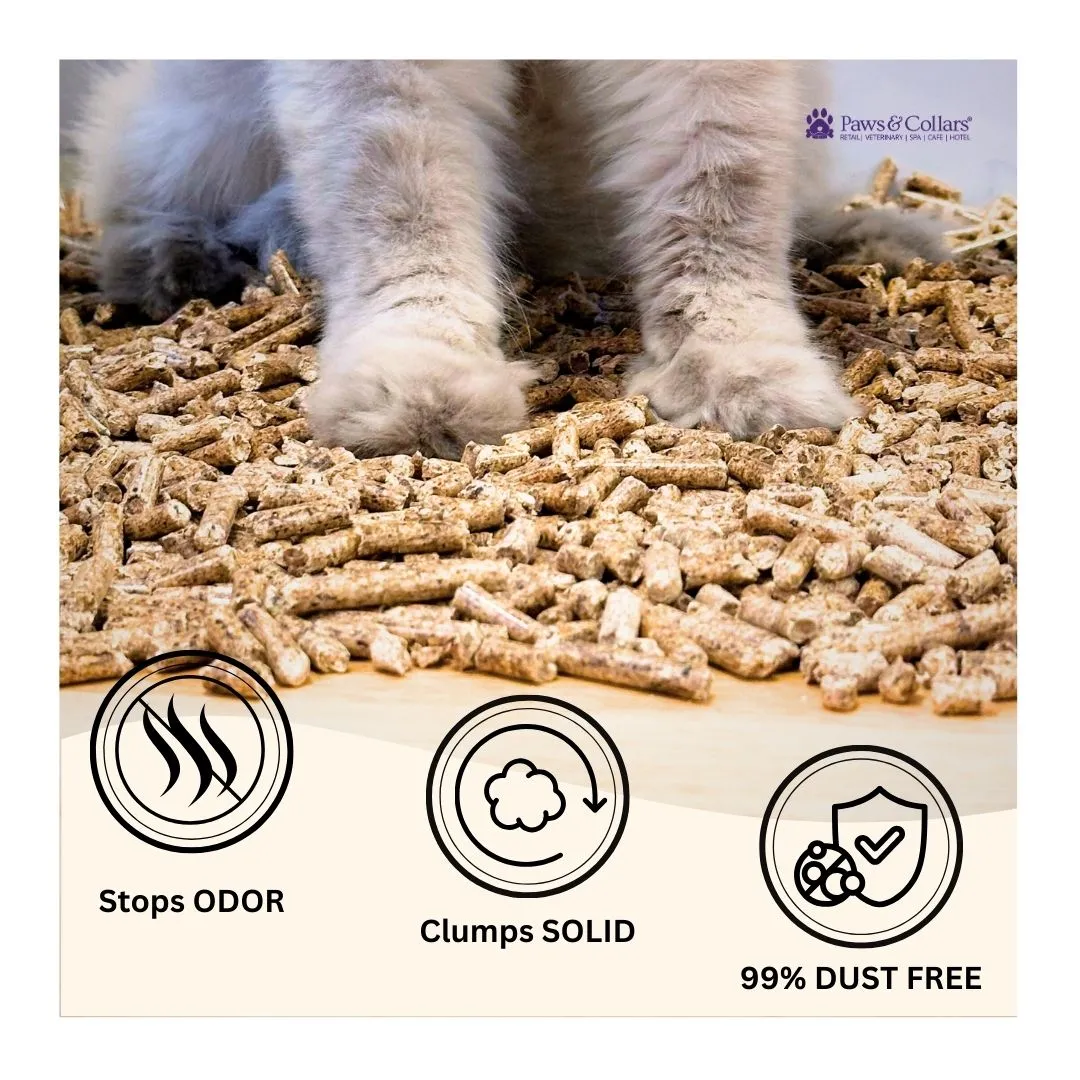 Natural Cat Litter, Eco-Friendly Wood Pellets, Safe For Cats & Kittens