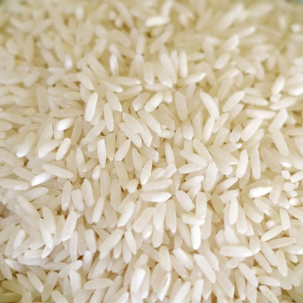 Rainy Day Foods White Rice Long 5 Gallon 36 lbs Super Pail - 362 Servings