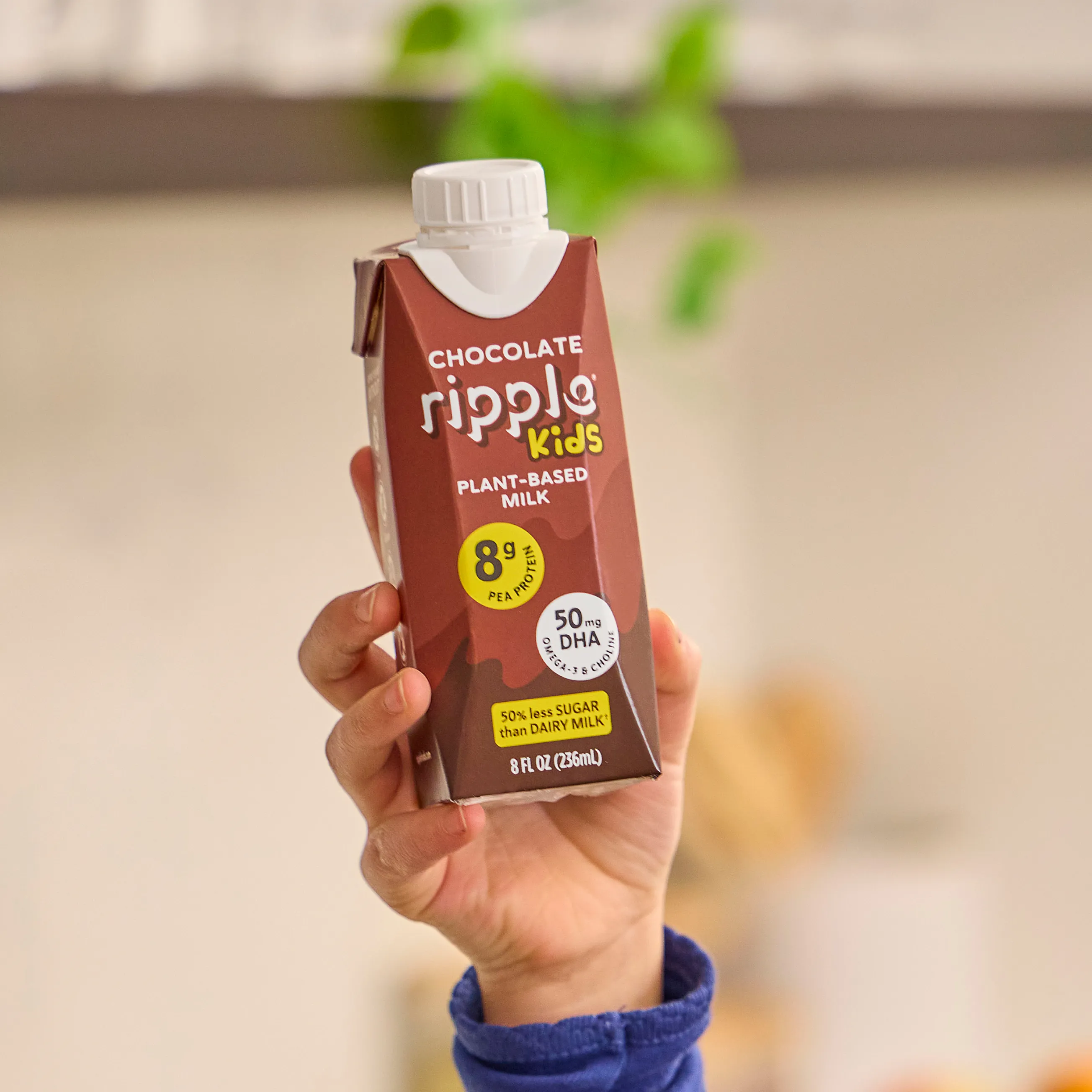 Ripple Kids On-The-Go Chocolate Milk (4-pack)