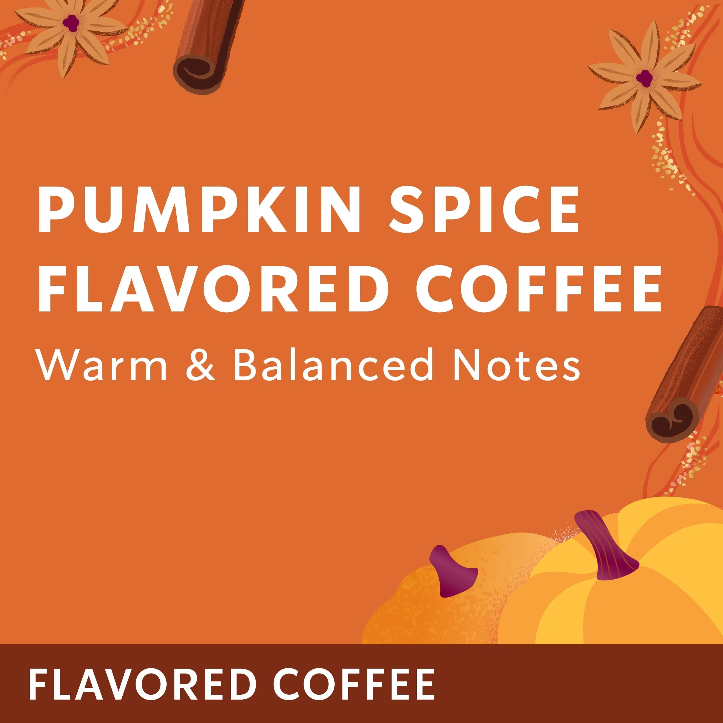 Starbucks Pumpkin Spice Naturally Flavored Ground Coffee, 100% Arabica, Limited Edition, 1 Bag (17 Oz)